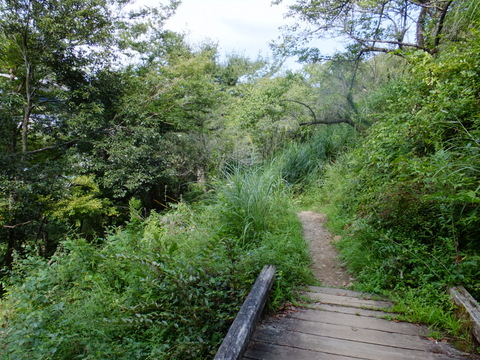 a0043982_18152890.jpg