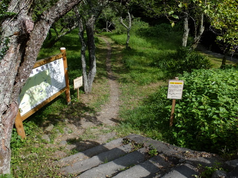 a0043982_18154580.jpg