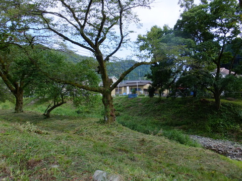 a0043982_1815957.jpg