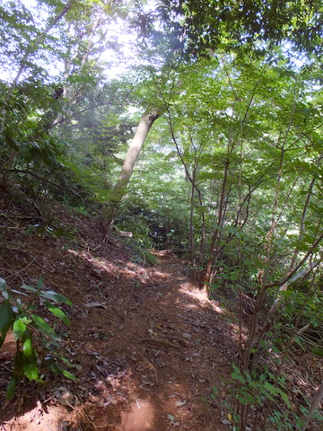a0043982_18173145.jpg