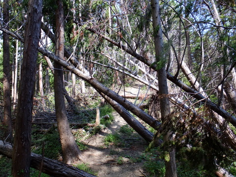a0043982_18173853.jpg