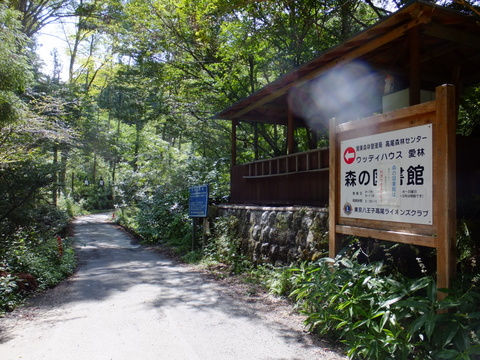 a0043982_1817610.jpg