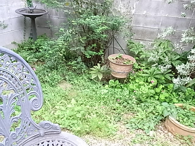 b0206784_1759458.jpg
