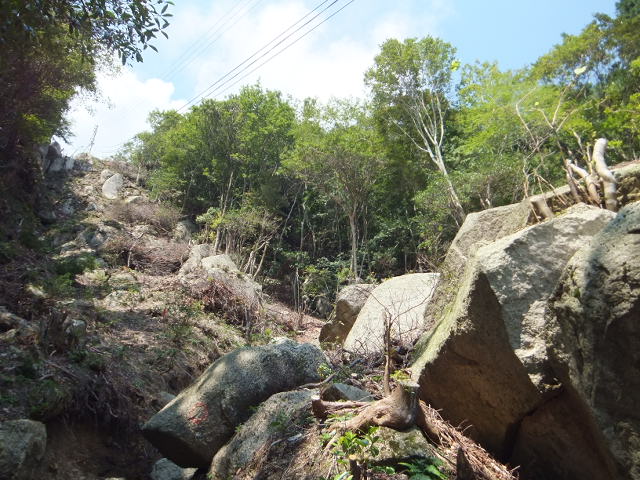 a0271502_12551349.jpg