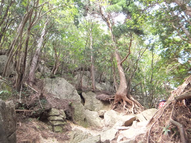 a0271502_13225549.jpg