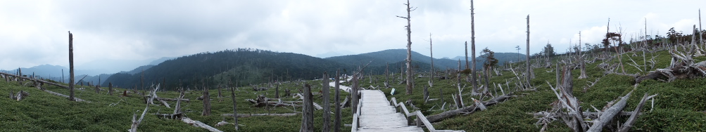 c0043403_10155469.jpg