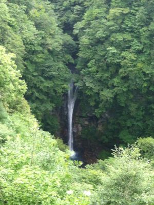 b0195304_1705058.jpg