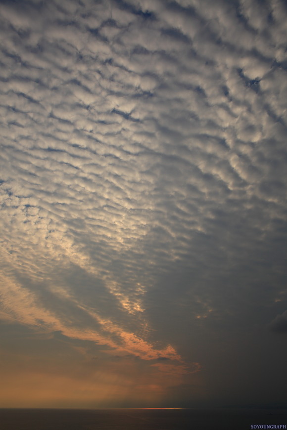 e0262305_22323636.jpg