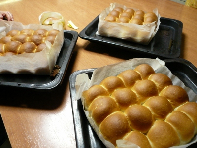 9月20日(木) 白神こだまパンコース(手捏ね)_d0138307_20291966.jpg
