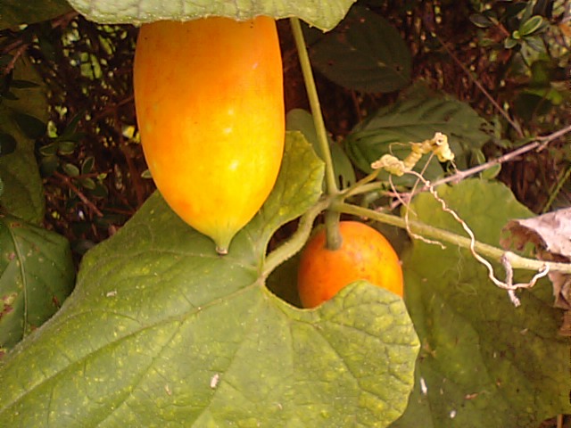 f0231709_12512553.jpg