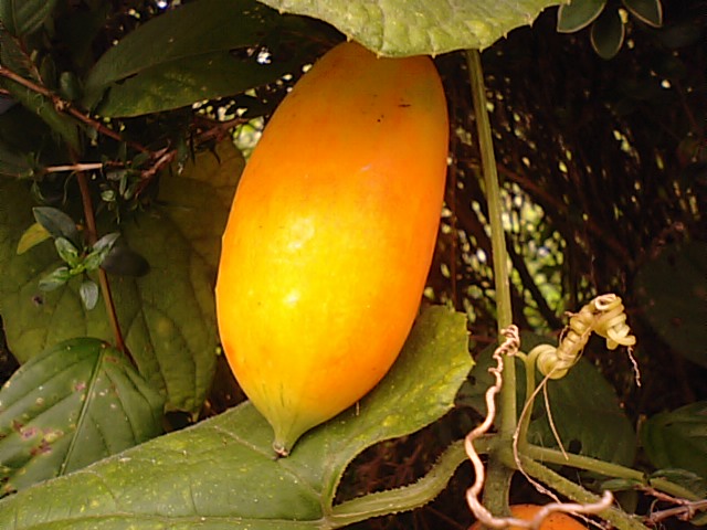 f0231709_12533886.jpg