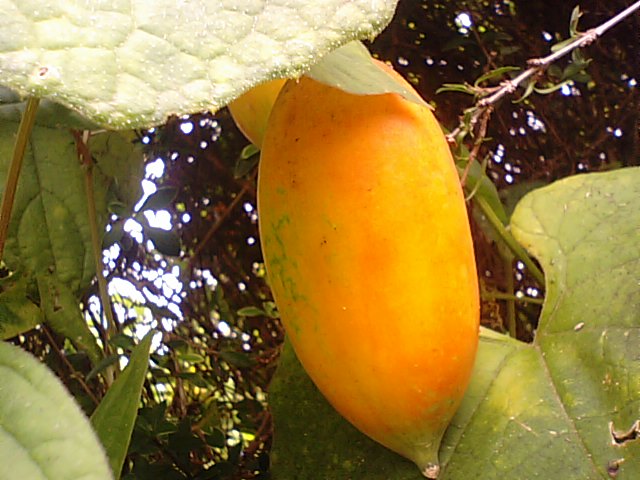 f0231709_12534597.jpg