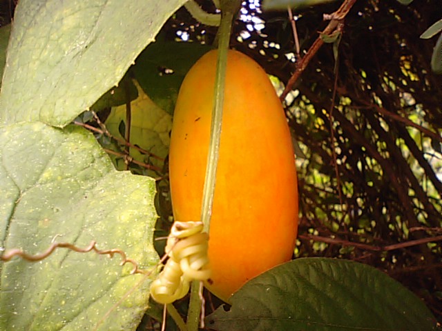 f0231709_12544334.jpg
