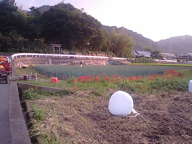 f0231709_2114452.jpg