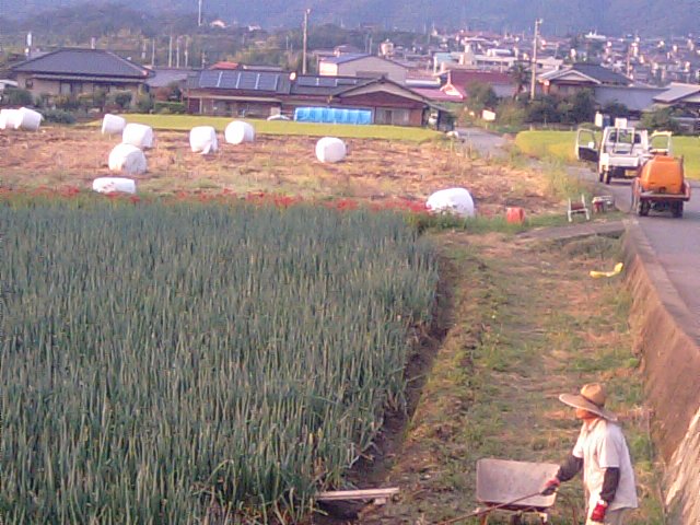 f0231709_212154.jpg