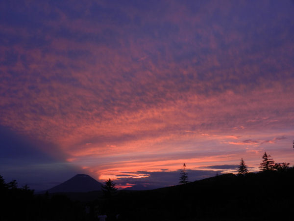 e0126914_23591981.jpg