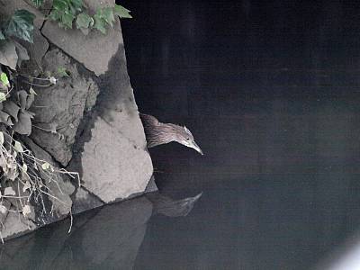 f0051915_21575933.jpg