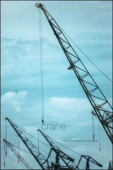 Crane\'s_f0100215_0181342.jpg