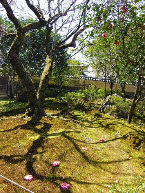 霊鑑寺（京都府京都市左京区）_c0219820_18455568.jpg