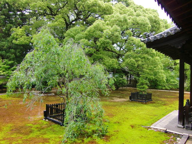 青蓮院（京都府京都市東山区）_c0219820_1921335.jpg