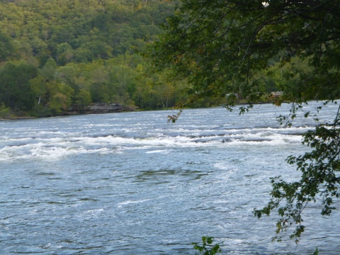a0097322_995836.jpg