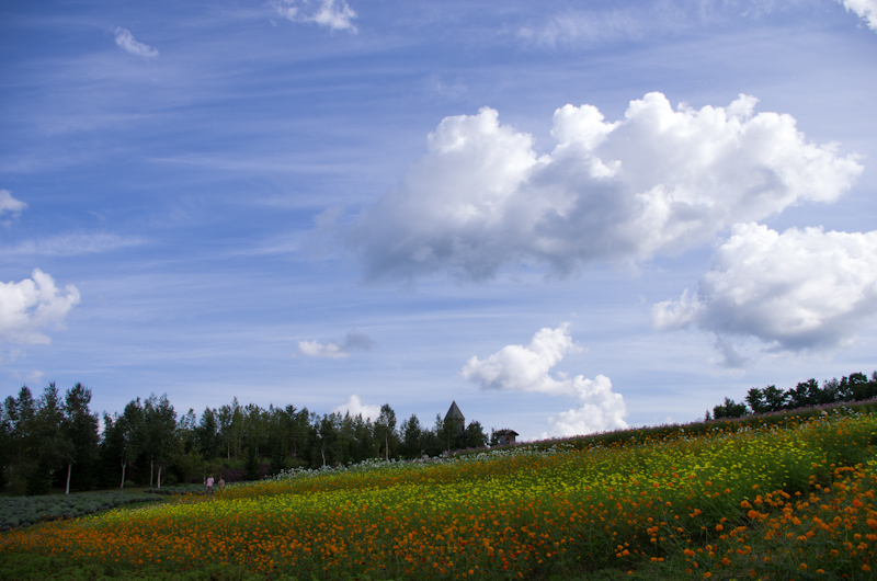 b0236326_7424789.jpg