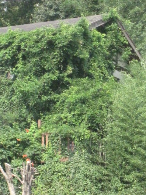 c0239833_1313197.jpg