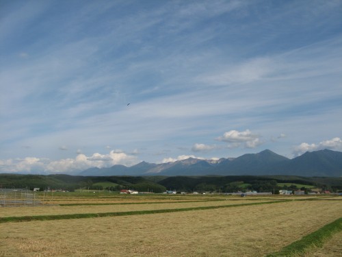 d0258236_19262757.jpg
