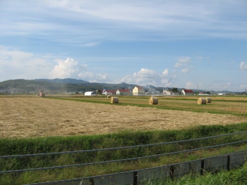 d0258236_19264024.jpg