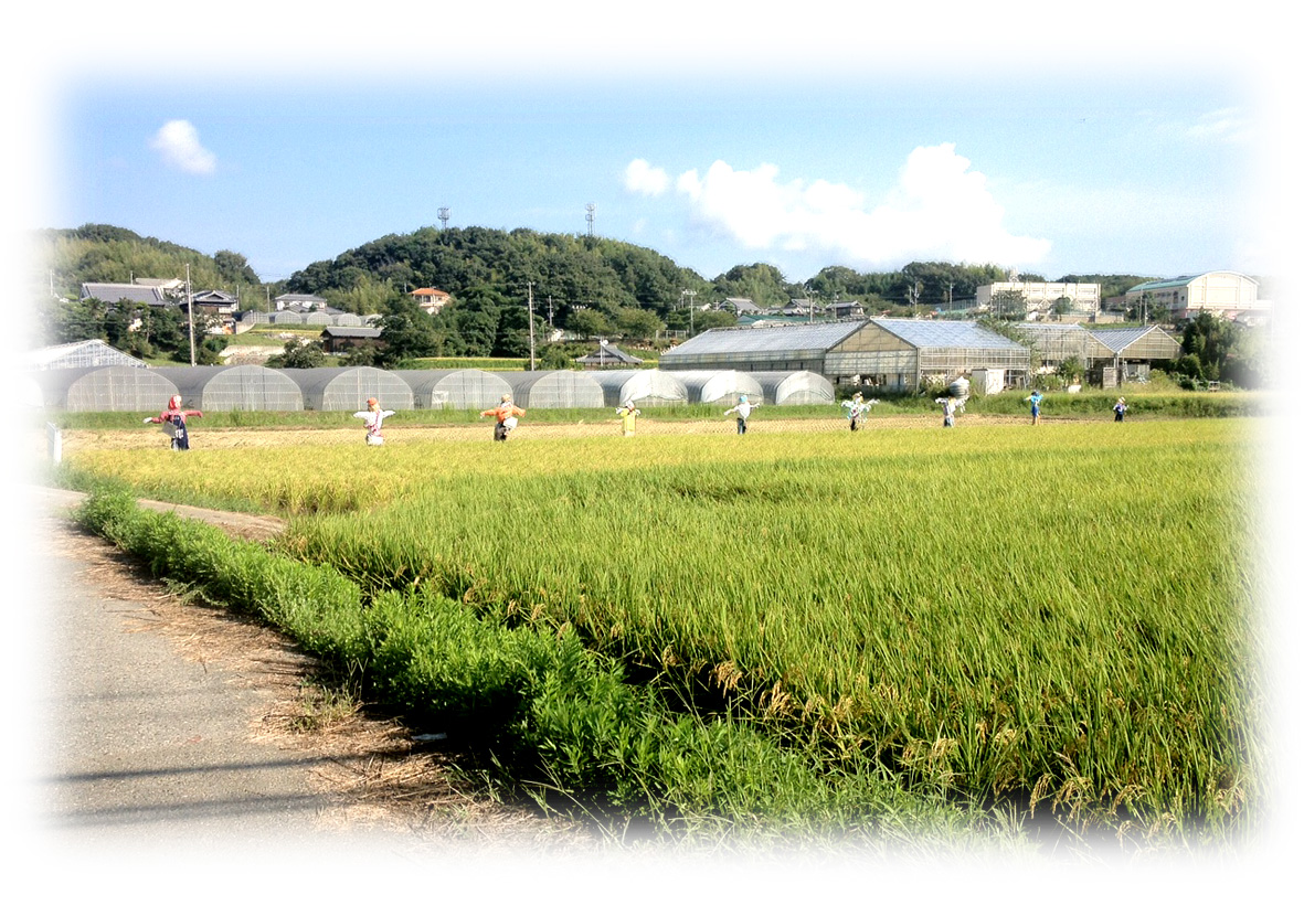 田んぼの中のかかし_d0182937_13254663.jpg