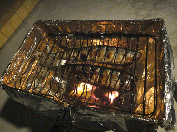 a0056140_1822523.gif