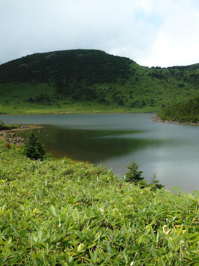 d0237340_1762518.jpg