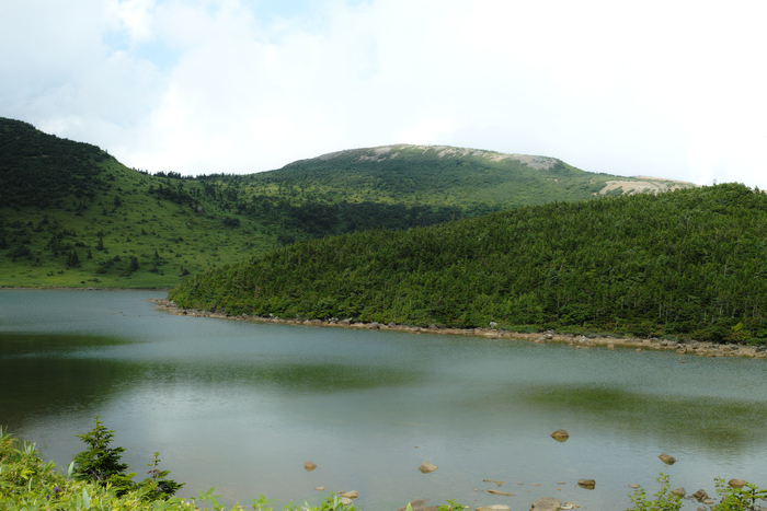 d0237340_7492545.jpg