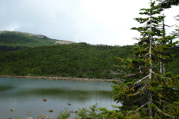 d0237340_7501096.jpg