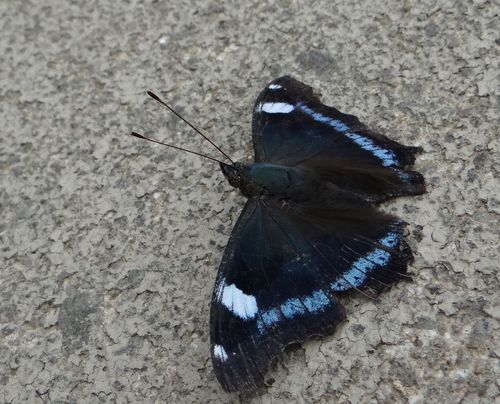矢作川番外編 20120922_d0254540_1343134.jpg