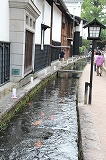 e0184251_7345829.jpg