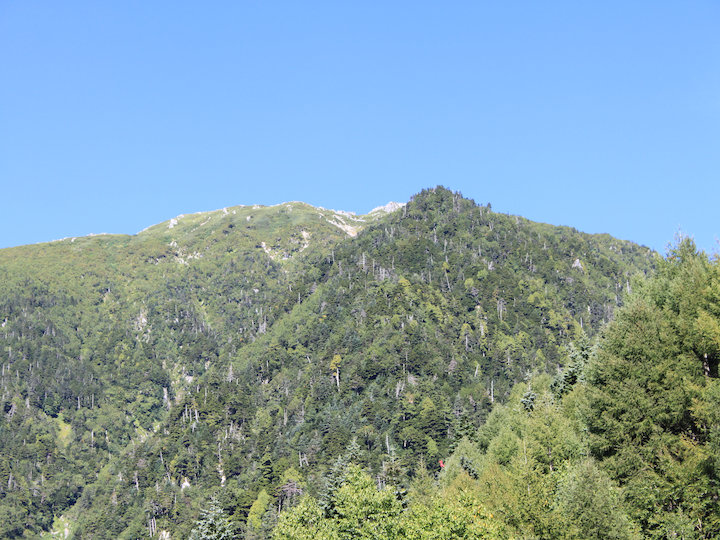 c0178561_965164.jpg