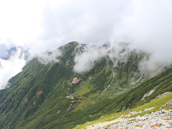 c0178561_991153.jpg