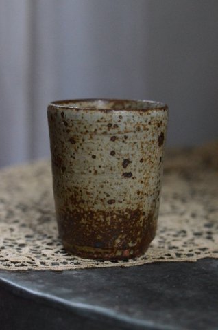 加地学 展 ~北の国から~ 9日目_d0087761_19223229.jpg