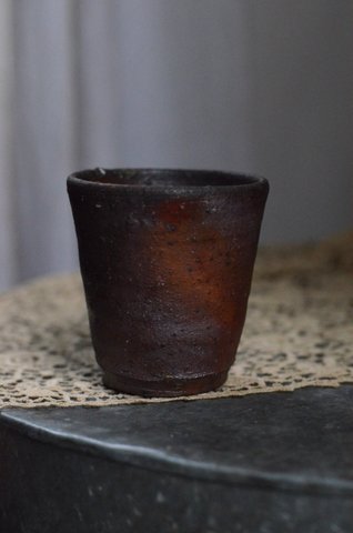 加地学 展 ~北の国から~ 9日目_d0087761_1923438.jpg
