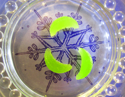 e0209364_18113535.gif