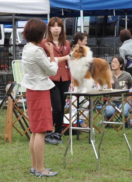 9.23 JCC栃木展_a0139367_19342374.jpg