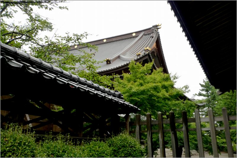 ※ 雨の本成寺（1）_e0149577_21333676.jpg