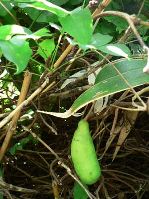 f0083977_23343428.jpg