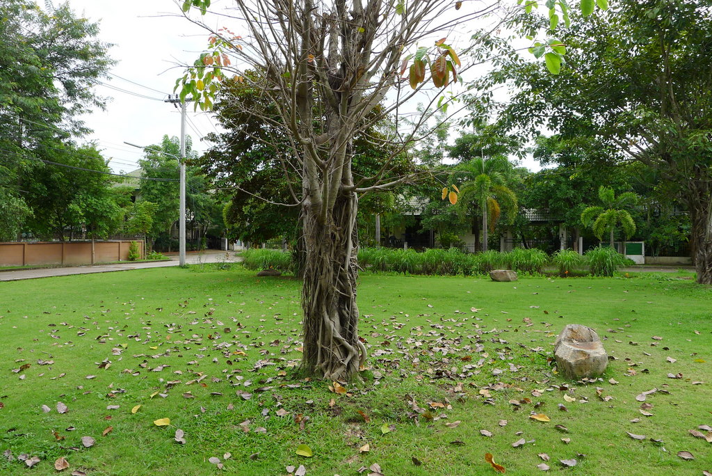 f0178278_81832.jpg
