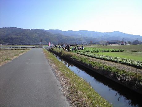 b0005281_1321180.jpg
