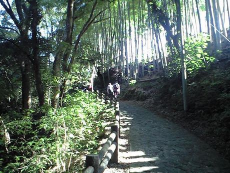 b0005281_13214178.jpg