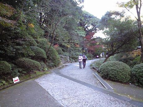 b0005281_13221525.jpg