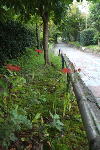 a0275782_19402127.gif