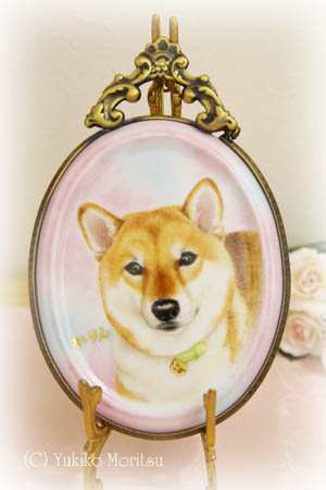 【柴犬ポーセリン】かりんちゃんの肖像画　完成♪_f0062790_1714173.jpg